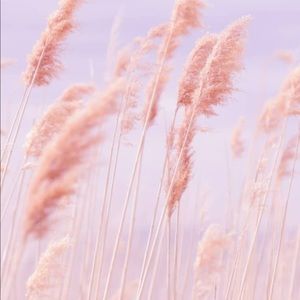 Meet your Posher, Em